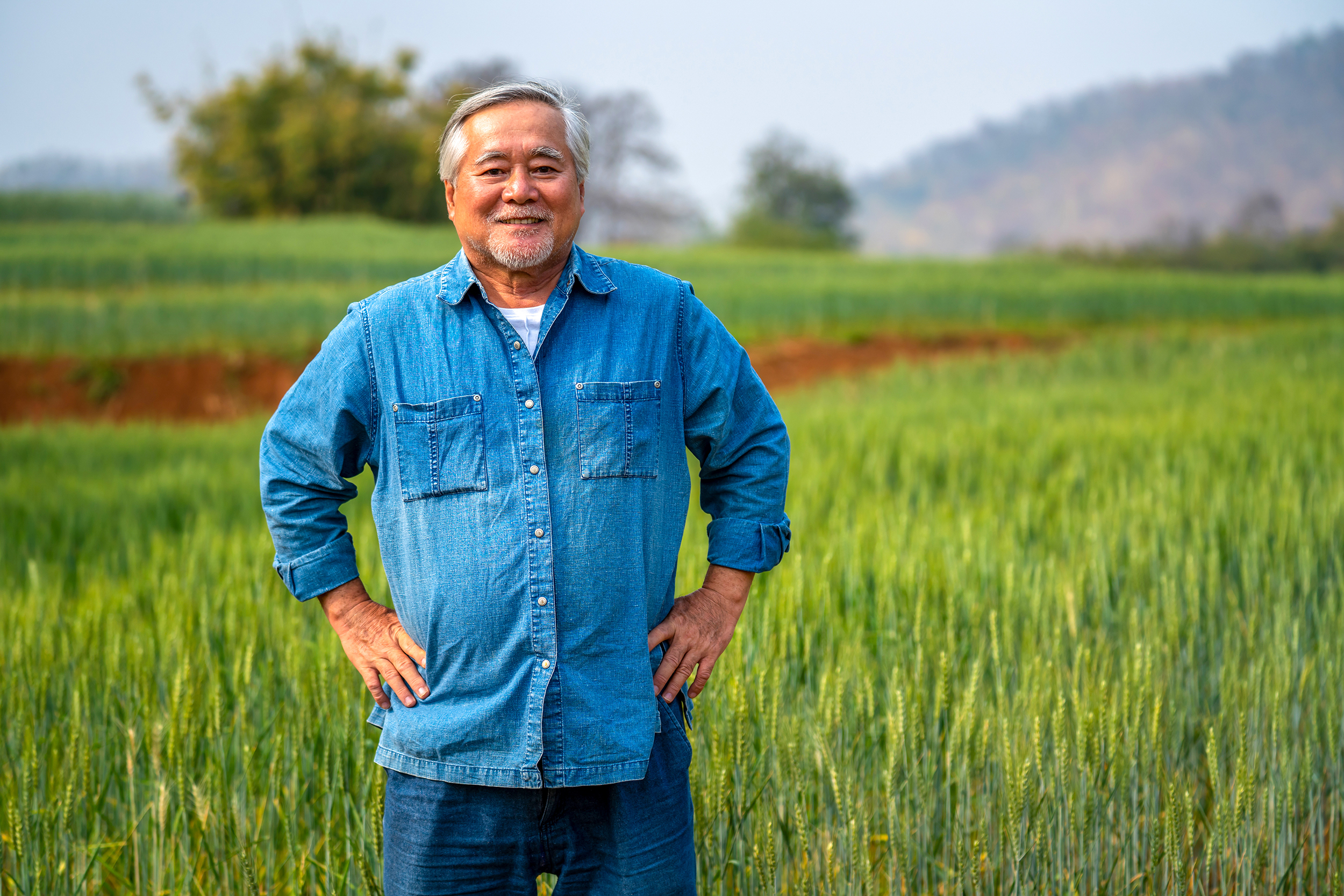 Smiling male agricultural worker standing in a wheat field