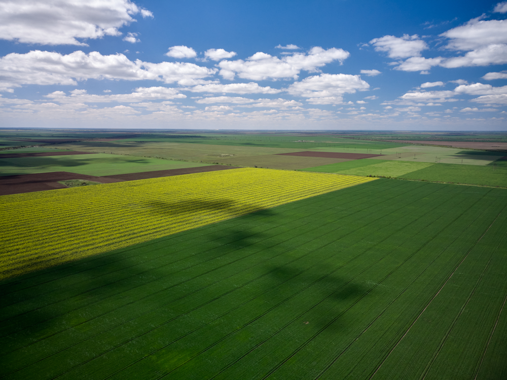ariel view of green and yellow agricultural fields